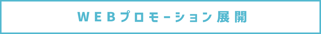 WEBプロモーション展開